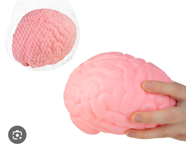 Jumbo Sensory Squishy Brain Toy